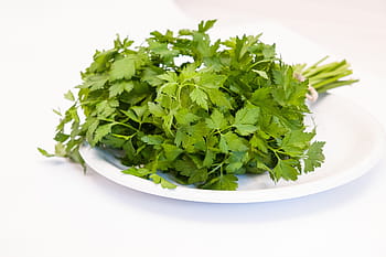 petržel, zdravý, zelená, jídlo, kulinářské byliny, vitamíny, byliny, federální vláda