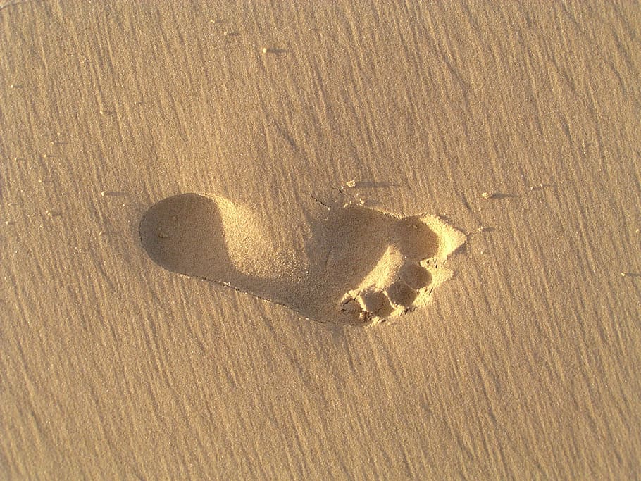 human, soil foot print, footprint, sand, beach, barefoot, foot, footstep, pristine, nature