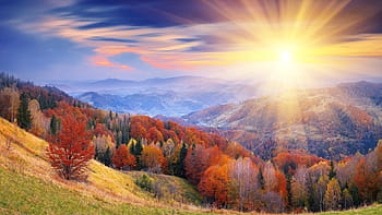 forest on mountain, sunrise, mountains, landscape, scenic, morning, sky, clouds, blue, light, outdoors