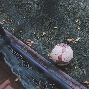 bílý, hnědý, fotbalový míč, zelená, tráva, vedle, plot, míč, sport, hobby, Fotbal
