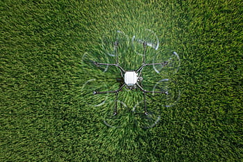 dji, zemědělství, uav, drone na ochranu rostlin, ochrany rostlin, zemědělské půdy, agras, trubec, dji zemědělství, rýže, v rýžovém poli