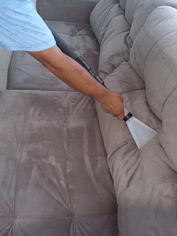 cleaning, sofa