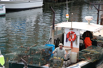 lobster traps, lobster fishing boat, portland maine, lobster, fishing, ocean, boat, water, harbor, sea, coast