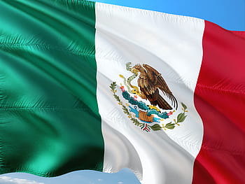 クローズアップ写真、 メキシコの旗、 国際、 旗、 メキシコ