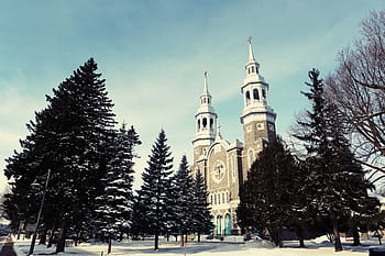 cesta, jít, katedrála, obklopen, stromy, modrý, nebe, během dne, krajina, fotografie, šedá