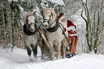 santa claus, riding, sleigh, two, white, horses, brown, bare, trees, daytime, christmas