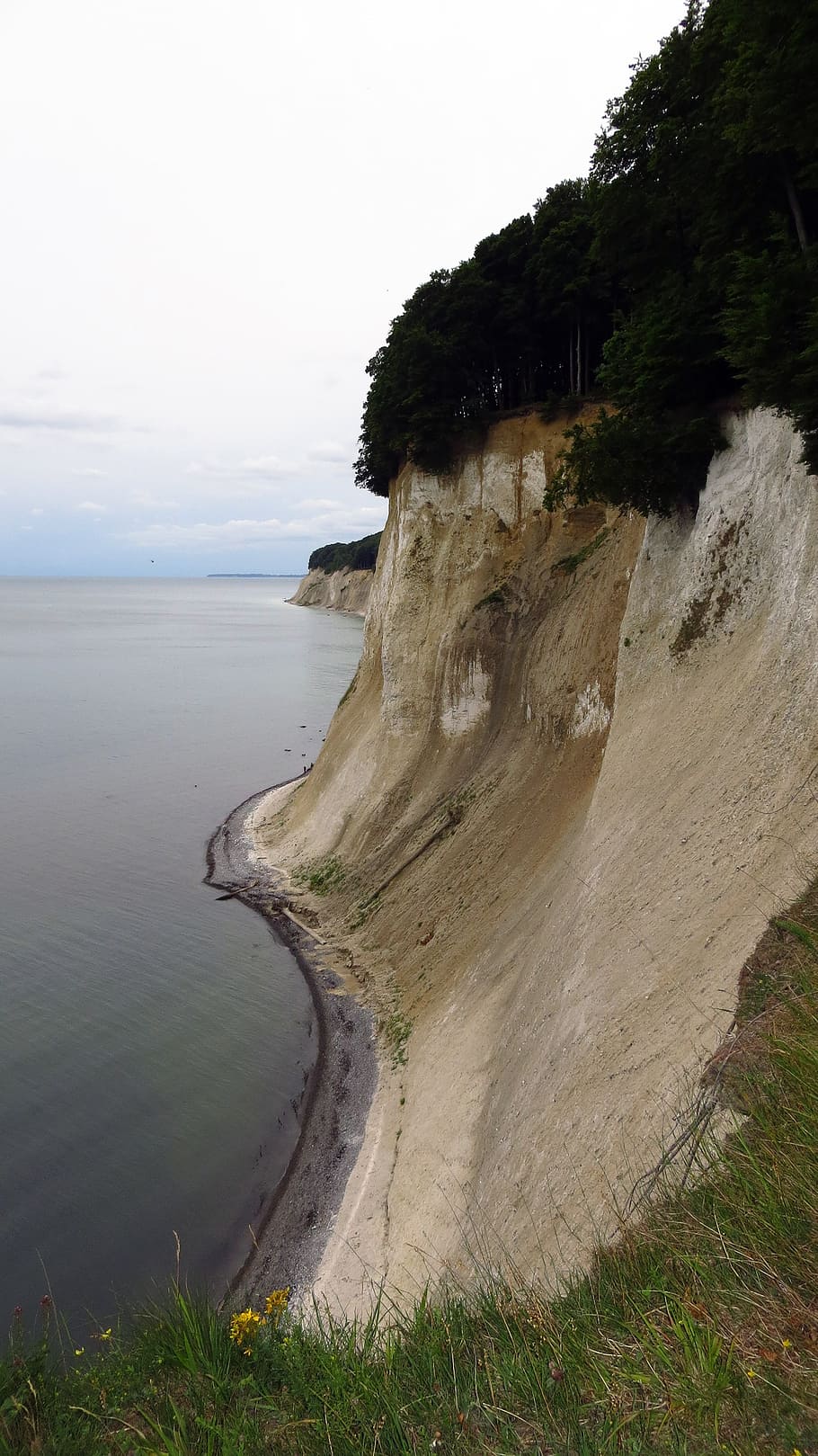 jejak pantai tinggi, pemandangan, tebing putih, rügen, sassnitz, pohon, lereng, tepi pembongkaran, alam, laut baltik, mecklenburg pomerania barat