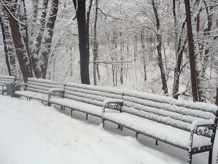 ruské, zimní, zima, park, stromy, sníh, led, ruština, zimní, park, lavičky, Studený, Příroda