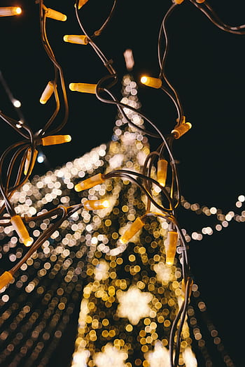 عيد الميلاد،  أضواء،  إضاءة،  داكن،  ليل،  كهرباء،  خوخه