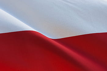 polština, vlajka, Polsko, patriotismus, symbol, Červené, vlast, národní, nezávislost, bílá-červená, bílý