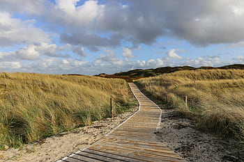 Německo, Severní moře, langeoog, krajina, nebe, Příroda, letní, východní frisia, duny, dünenweg, přechodu na pláž