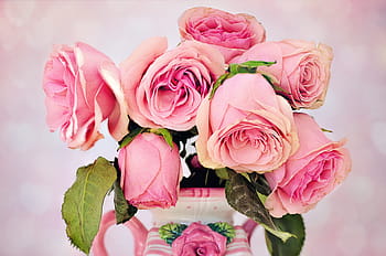 pink-and-white, rose, flower photography, roses, flowers, floral, love, petal, pink, vase, valentine