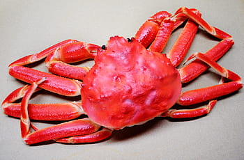 red crabs, Snow Crab, Food, Seafood, Cooked, crab, claw, steamed, boiled, crustacean, nutritious