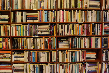 roztříděný, knih, hromadu, hnědý, dřevěný, knižní případ, knihovna, regál, police, literatura, vzdělání