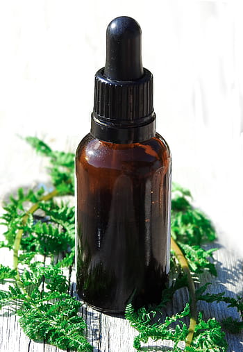 braun, schwarz, beschriftet, Flasche, Grün, Blätter, grüne Blätter, essentielle Öle, Glas, ätherisches Öl, Aromatherapie