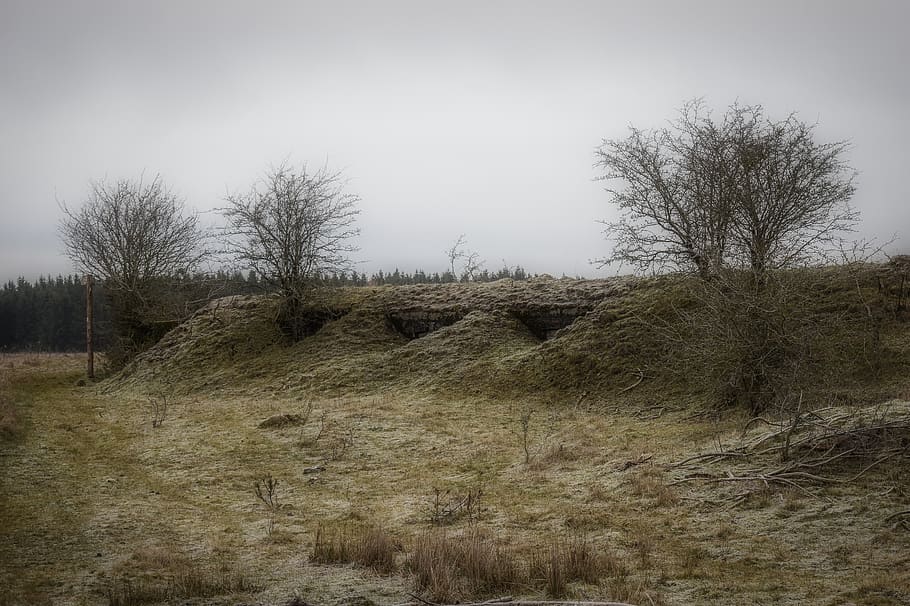 bunker, war, landscape, nature, tree, cold, mood, mystical, winter mood, frost, wintry