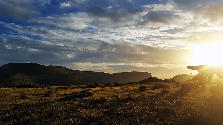 Horizon, Nature, Sunshine, Day, Sunset, sunshine, day s, in the evening, in the afternoon, spring, green, mood