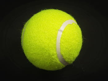 green tennis ball, ball, racket, white, yellow, background, closeup, isolated, leisure, hairy, view