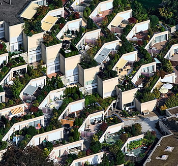 aerial, view, houses, trees, green, plant, nature, outdoor, village, architecture, structure