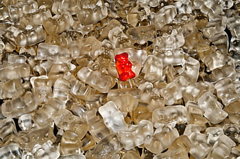 Fruit Gums、 クマ、 gummibärchen、 甘さ、 カラフル、 色、 ゼラチン、 食品、 グミベア、 ニブル、 おいしい
