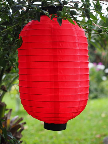 Lampion, Paper Lantern, Red, Garden, red, garden, gartendeko, garden decoration, light source, light, bulbs, light body