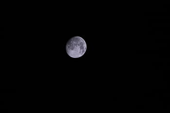full, moon, nature, sky, night, darkness, black, astronomy, moon surface, scenics, space exploration