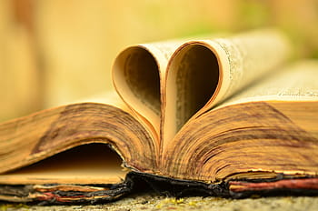 bílá tištěná kniha, rezervovat, bible, starý, antický, svaté písmo, křesťanství, víra, křesťan, Svatá kniha, stránek