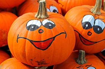 lotto jack-'o-lantern, zucche, hokkaido, autunno, ottobre, raccogliere, verdure, arancia, colorato, Halloween, decorazione