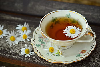 theekopje met bloem, kop, tee, porselein, drinken, decor, breken, stilleven, theetijd, kruidenthee, thee