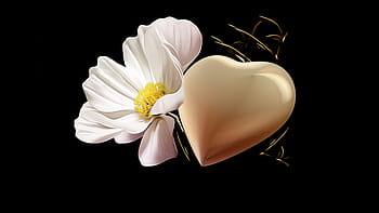trauerkarte, golden heart, mourning, hope, floral card, blossom, bloom, emotion, background, consolation, die