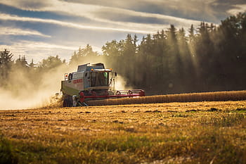 gray, red, combine, harverster, wheat field, claas, lexion, combine harvester, harvest, agriculture, harvester