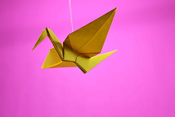 origami di uccello giallo, origami, gru, giapponese, Giappone, carta, capacità, Asia, est, volo, volare