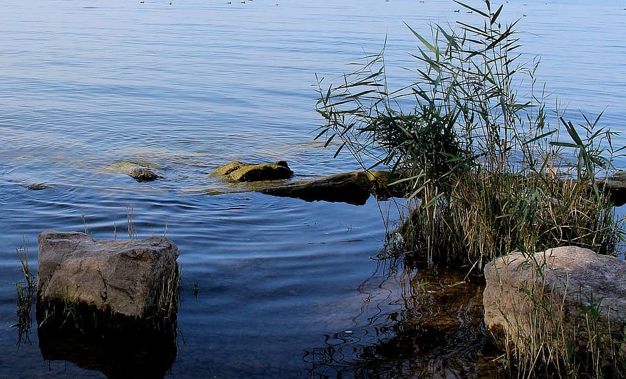 λίμνη Constance, τράπεζα, διάθεση, καθρέφτης, arbon