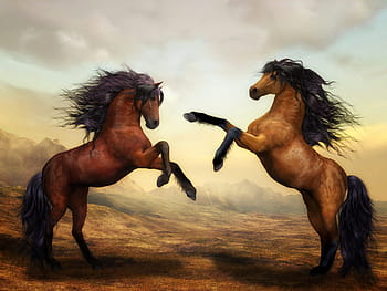 two brown horses, horses, wild horses, digital art, nature, landscape, animals, wild, composing, horse