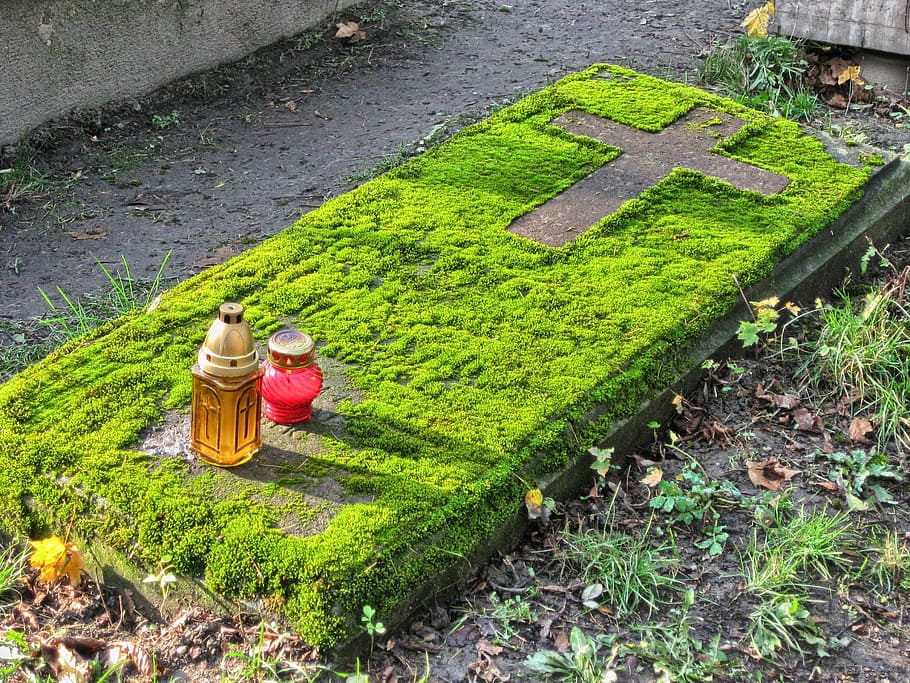 hrobku, přejít, křesťanství, svíčka, celý den duší, celý den svatých, Polsko, Paměť, mech, náboženství, Katolicismus