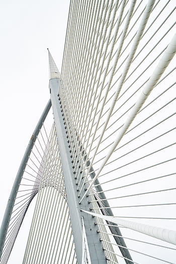 white steel bridge, bridge, contemporary, steel, daniel, white, geometric shapes, design, architecture, outdoor, rope