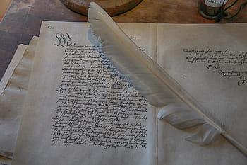 bílý, Pírko, papír, lavice, starý, pero, starý skript, psaný, list, inkoust, Černá
