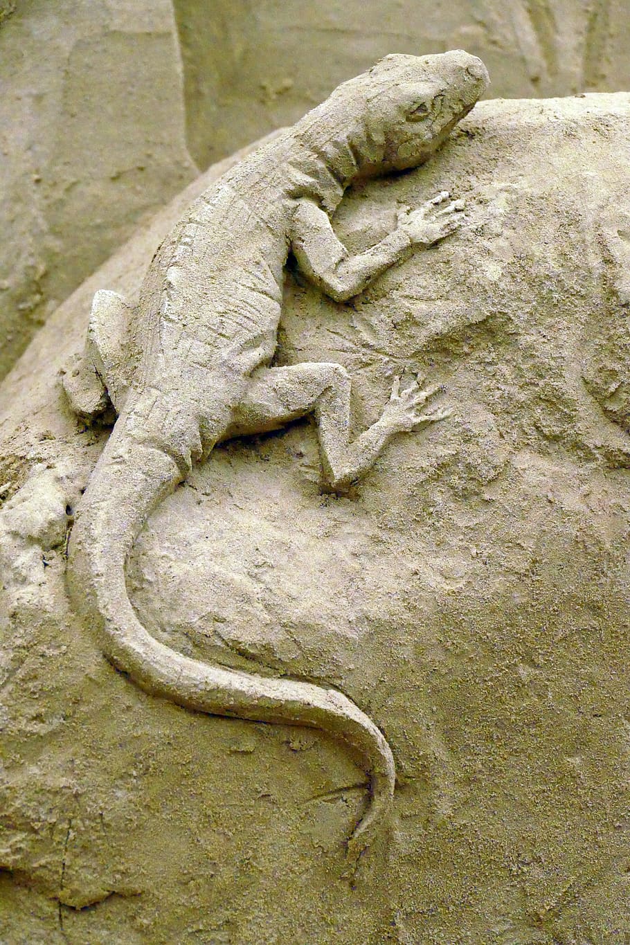 mlok, obojživelník, fauna, písek socha, písek, sochařství, garderen, Nizozemí, veluwe, událost