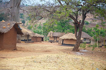 nipa hut village, malawi, Αφρική, χωριό, καλύβες, σπίτια, με το καλαμπόκι, λάσπη, δέντρα, φύση, εξω απο