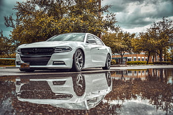 dodge charger, dodge car, automobile, vehicle, auto, mopar, car, charger, dodge, automotive, transportation