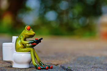 zelená žába obrázek, zelená žába, obraz, žába, mobilní telefon, toaleta, legrační, zasedání, roztomilý, zvíře, zelená