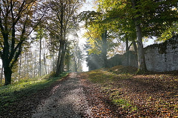 autumn, hike, tuttlingen, honing mountain, honing castle, germany, europe, travel, holiday, november, nature