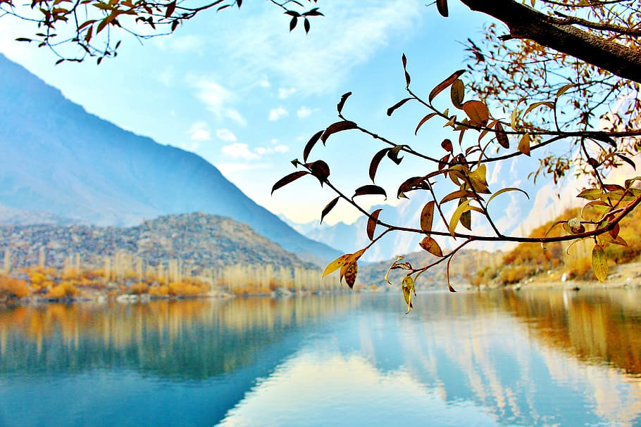 mountain, daytime, Tree, Lake, Pakistan, Nature, Landscape, forest, travel, autumn, hill