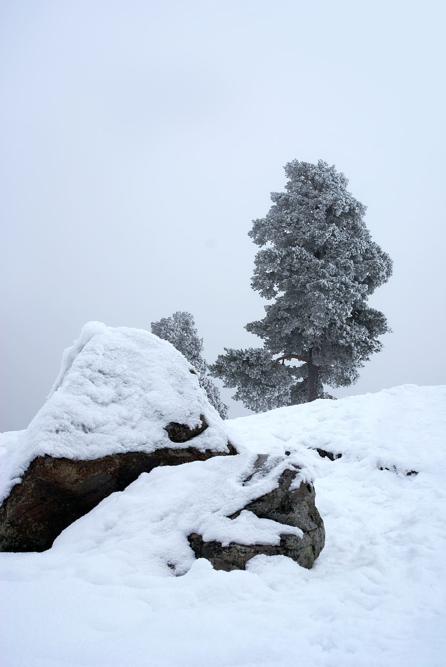 winter, ice, stones, cold, uppsala, sweden, landscapes, snow, snowy, white