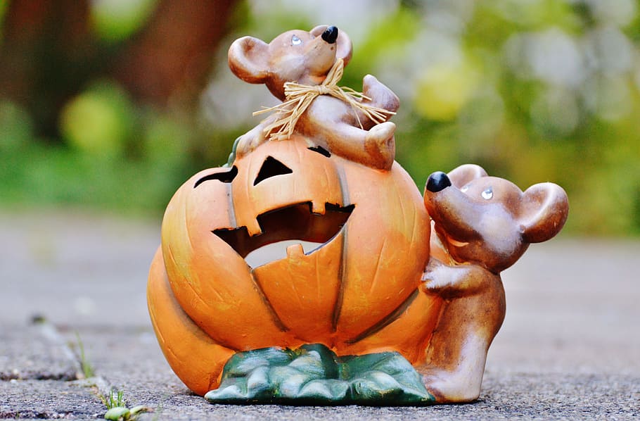 selektivní, zaostřovací fotografie, dva, zvedák, Ó', figurka lucerny, halloween, dýně, myši, roztomilý, předvečer Všech svatých, dýně