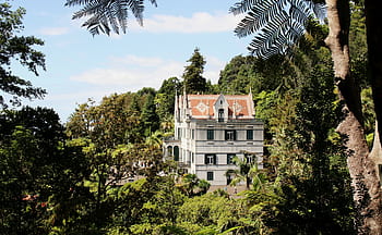 madeira, funchal, monte, palác monte, jardim, tropický, Botanická zahrada