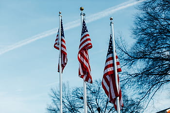 americká vlajka, holý, strom, během dne, tři, sjednocený, států, Amerika, vlajka, póly, americký
