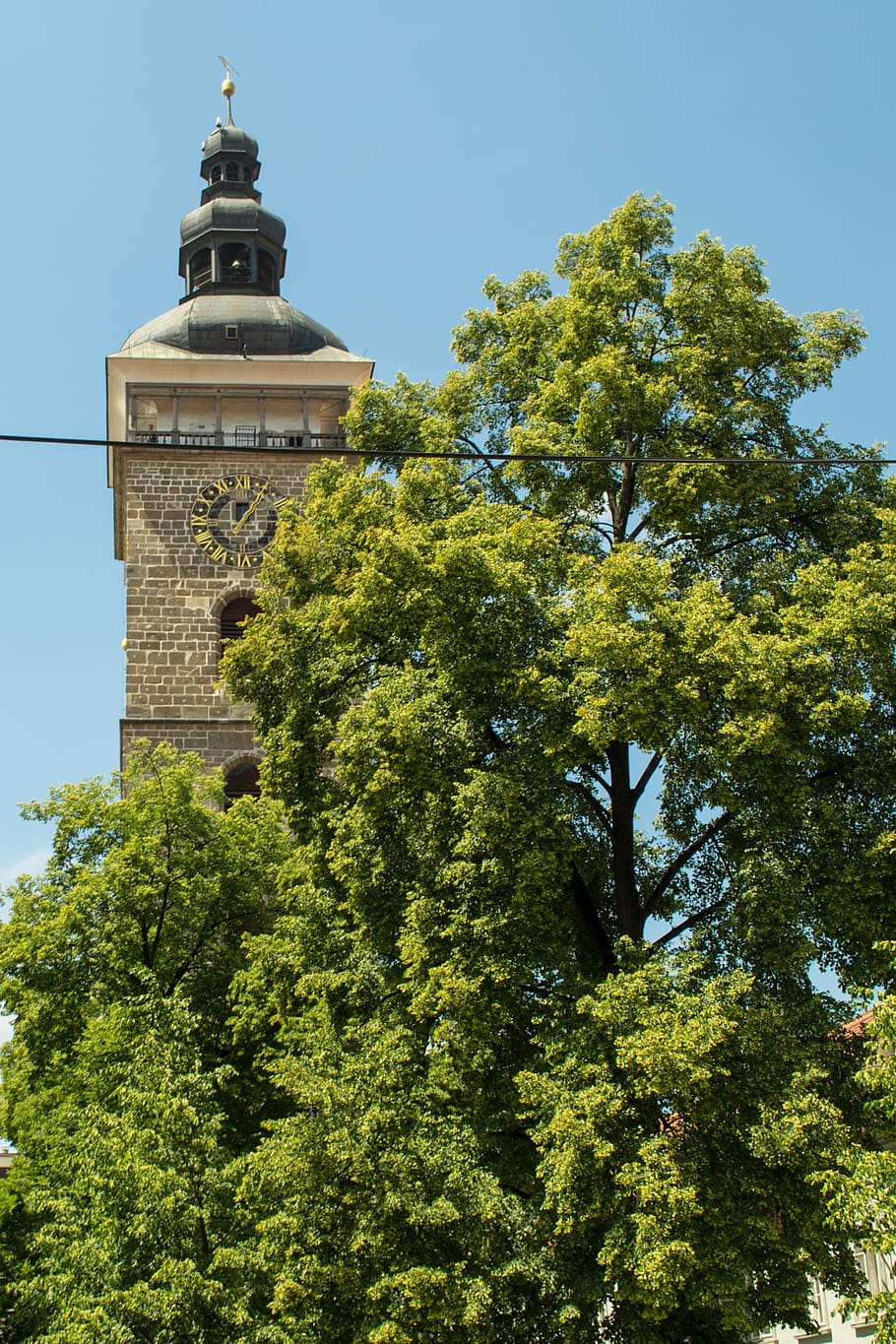 czech, budějovice, budějice, southern, bohemia, tree, sky, town hall, tower, green, czech republic