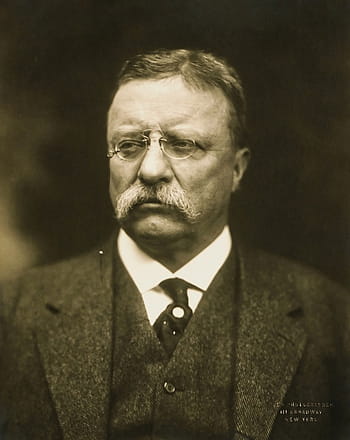 theodore roosevelt portret, Theodore Roosevelt, portret, geschiedenis, president, publiek domein, mensen, mannen, zwart en wit, een persoon, mannetjes