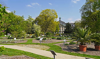 botanical garden, castle park, münster, westfalen, stadtschloss, university, wwu, biological faculty, plant, intended panels, exotic